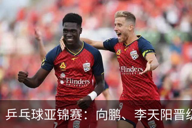 乒乓球亚锦赛：向鹏、李天阳晋级男单64强