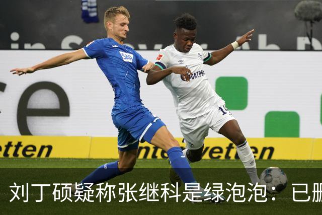 刘丁硕疑称张继科是绿泡泡：已删好友 他总割韭菜 生活根本不比我好
