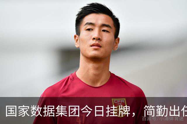 国家数据集团今日挂牌，简勤出任董事长，陈荣辉任总经理