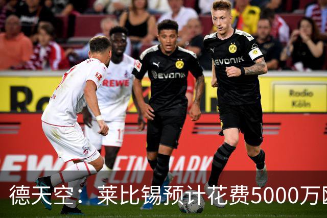德天空：莱比锡预计花费5000万欧元买断格鲁达和艾纳维