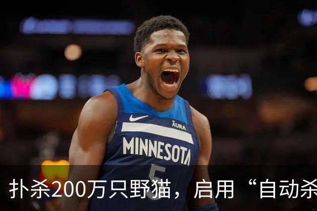 扑杀200万只野猫，启用“自动杀猫机”，对家猫“宵禁”……澳大利亚为什么不肯放过野生“哈基米”？
