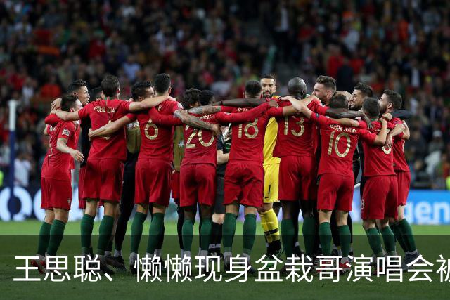 王思聪、懒懒现身盆栽哥演唱会被偶遇，坐在VVIP位置，引热议
