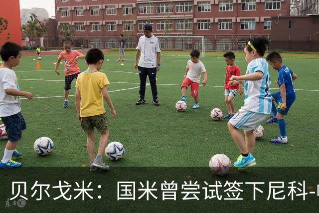 贝尔戈米：国米曾尝试签下尼科-帕斯；前场需要特点不同的球员