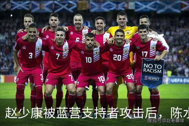赵少康被蓝营支持者攻击后，陈水扁发声，沈伯洋向中间选民出手了