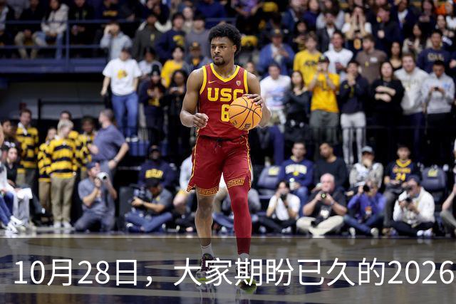 10月28日，大家期盼已久的2026退休养老金，究竟涨还是不涨？