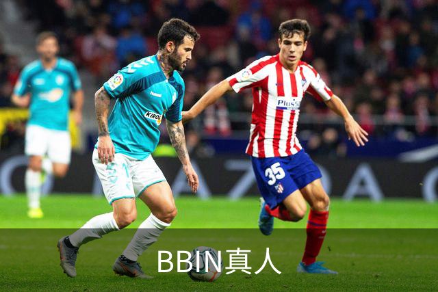 BBIN真人公司简介图片